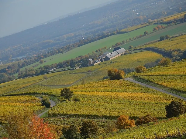 Weingut Bug+