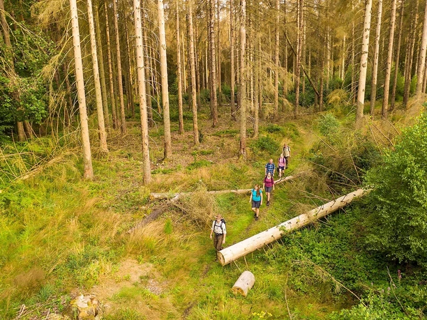 Wanderung mit einem Ranger