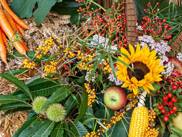 Herbstblumen