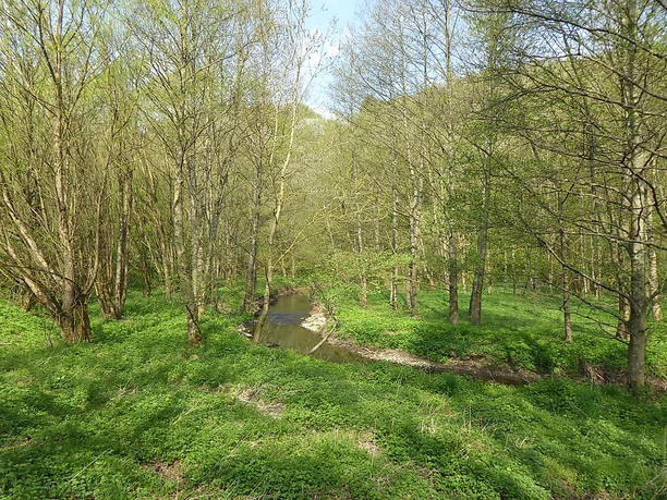 Ostertal Sankt Wendeler Land