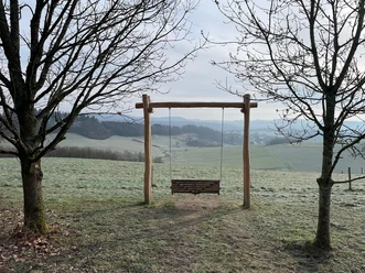 Schaukel Foto4