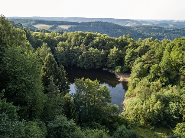 Weitblick