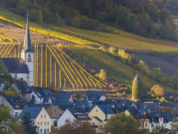 Aussicht auf Briedel