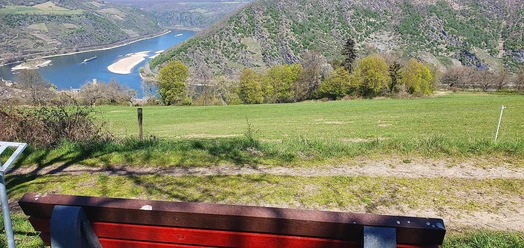 Ruhebank mit Rheinblick