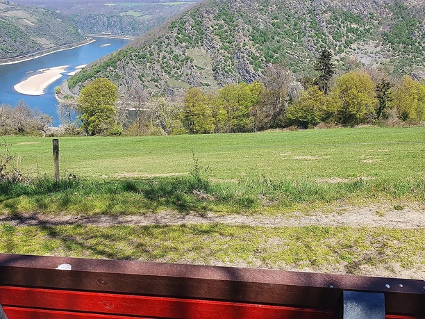 Ruhebank mit Rheinblick
