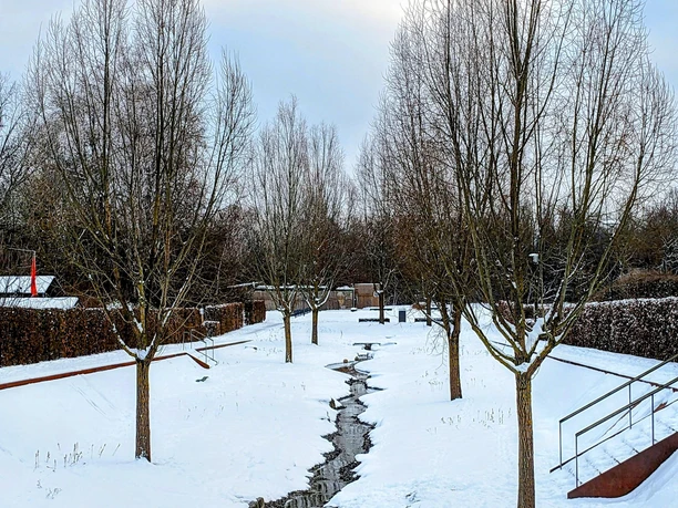 Quellgarten im Schnee