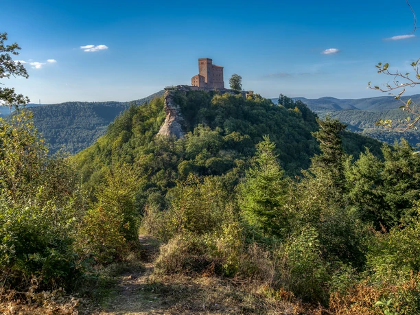 Trifelsblick
