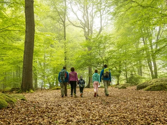 Aachener Wald- Grenzübergang Köpfchen