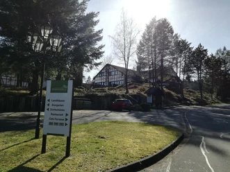 Im Frühling