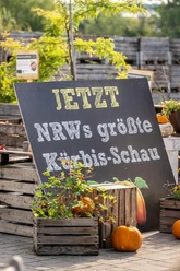 Werbeschild Kürbisschau