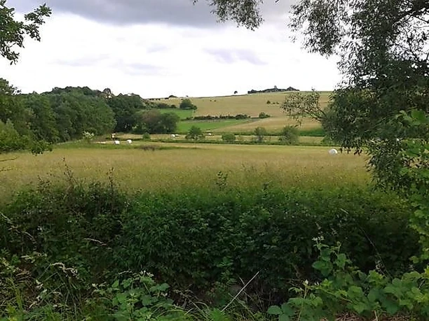 Eisvogelweg-Aussicht