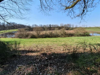 Dürres Maar im Frühjahr