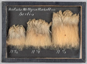 Wollproben der Deutschen Wollgesellschaft, 1919