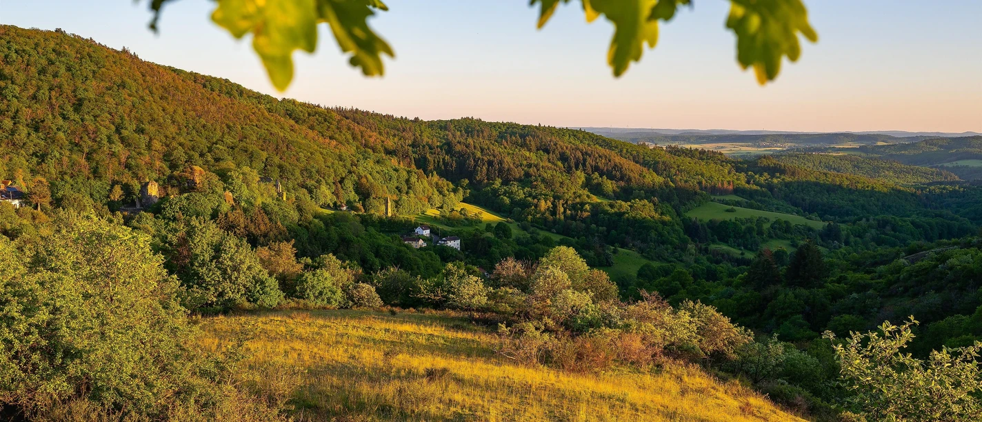 Blick über Falkenstein