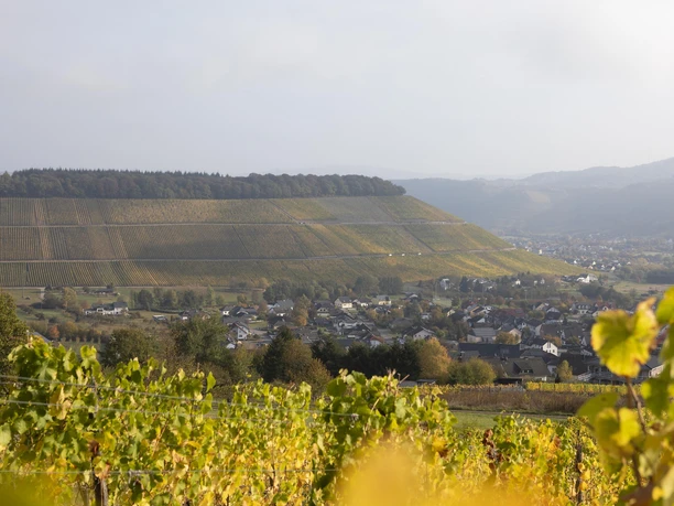 Ayler Kupp (03)