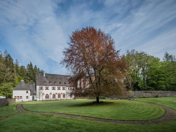Kloster Ehrenstein Park