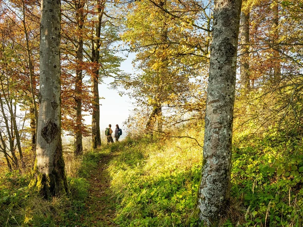 Wandertour am Hochkelberg