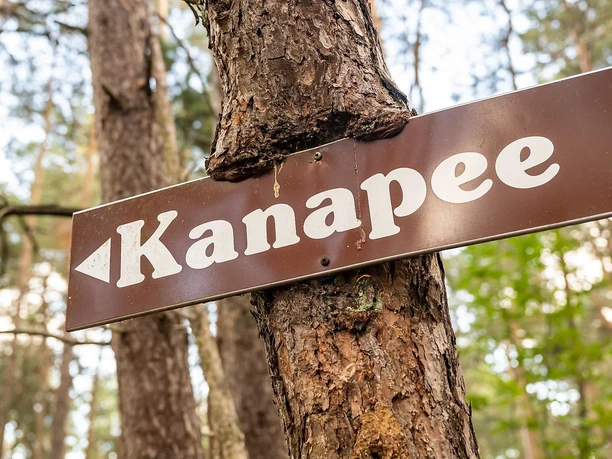 Wegweiser zu einem der 7 Waldwunder