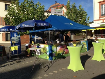 Viezhof Hunsicker (1)