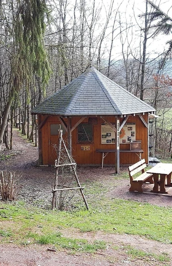 Insekten des Waldes (3)