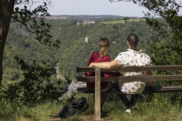 Blick auf Burg Laurenburg