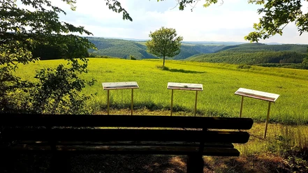 Eifelblick