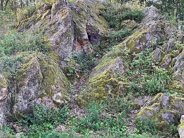 Hümmerstein