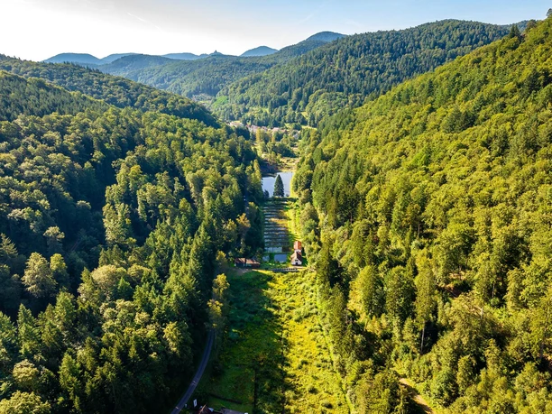 Eußerthaler Wald