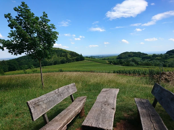 Picknickplatz mit Panoramablick Picknickplatz mit Panoramablick