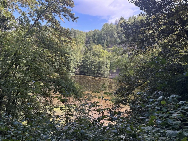 Blick vom Aussichtsturm