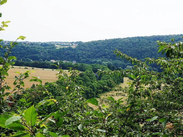 Blick von der Franzosenlay ins Lahntal