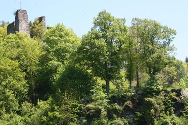 Blick auf den Haller