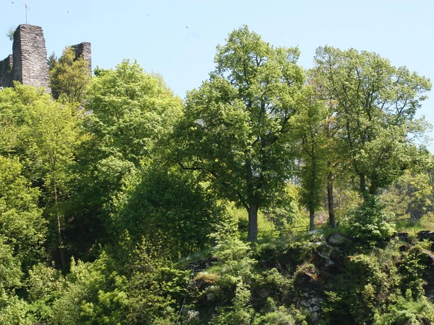Blick auf den Haller