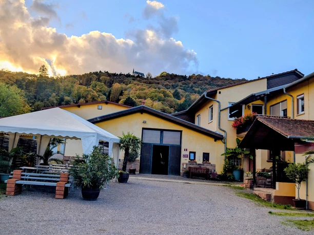 Winzerhof Weingut Bachtler Winzerhof Weingut Bachtler