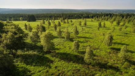 Luftaufnahme Struffelt Heide