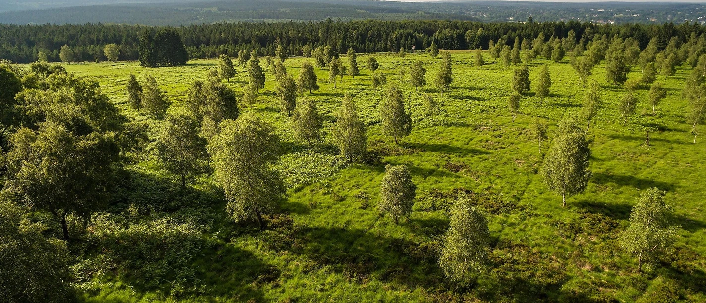 Luftaufnahme Struffelt Heide
