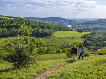 Wandern im Dreiländereck mit Blick auf die Mosel