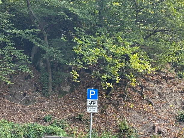 Am Waldrand