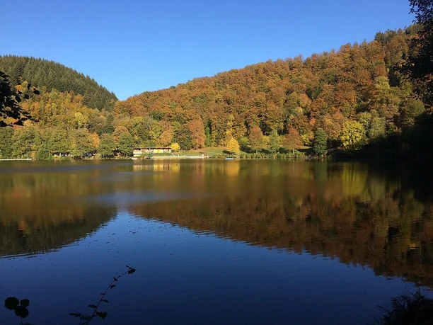 Blick auf das Gemündener Maar
