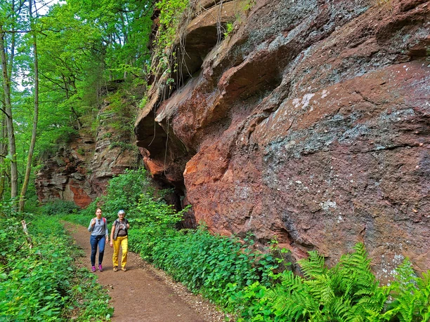 Kollesleuker Schweiz