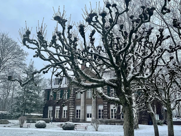 Villa Grün im Winter