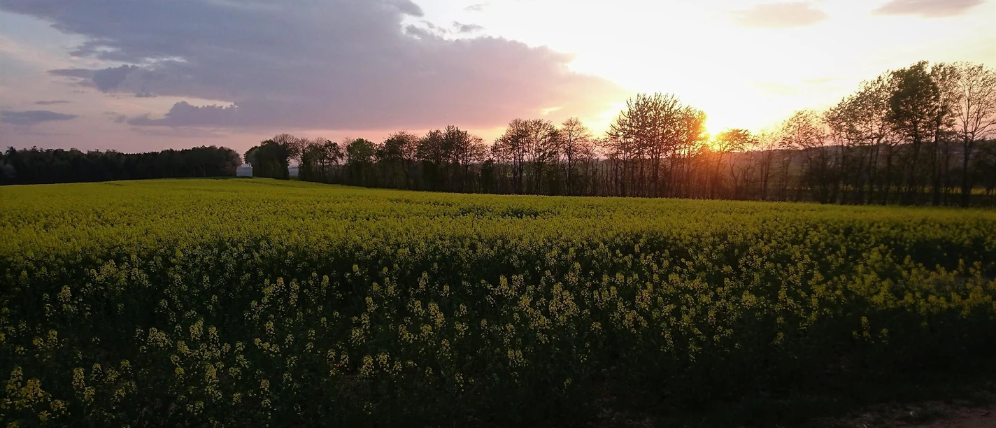 Sonnenuntergang auf der Traumscheife