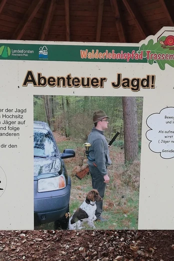 Säugetiere und Jagd (3)