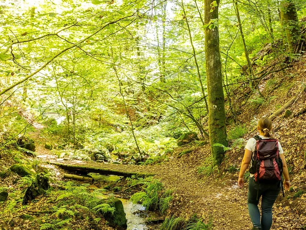 Weg im Eiderbachtal