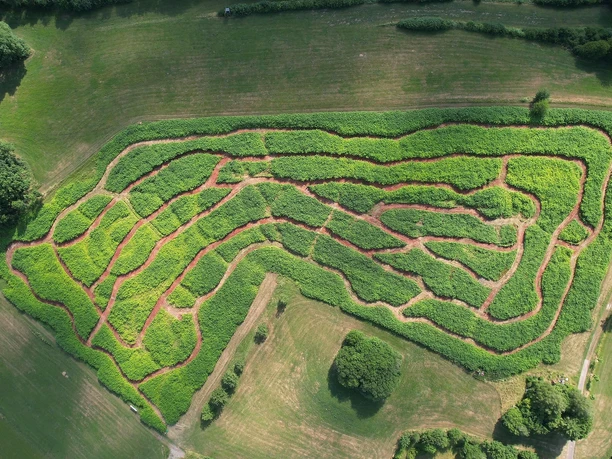 Luftaufnahme Naturlabyrinth