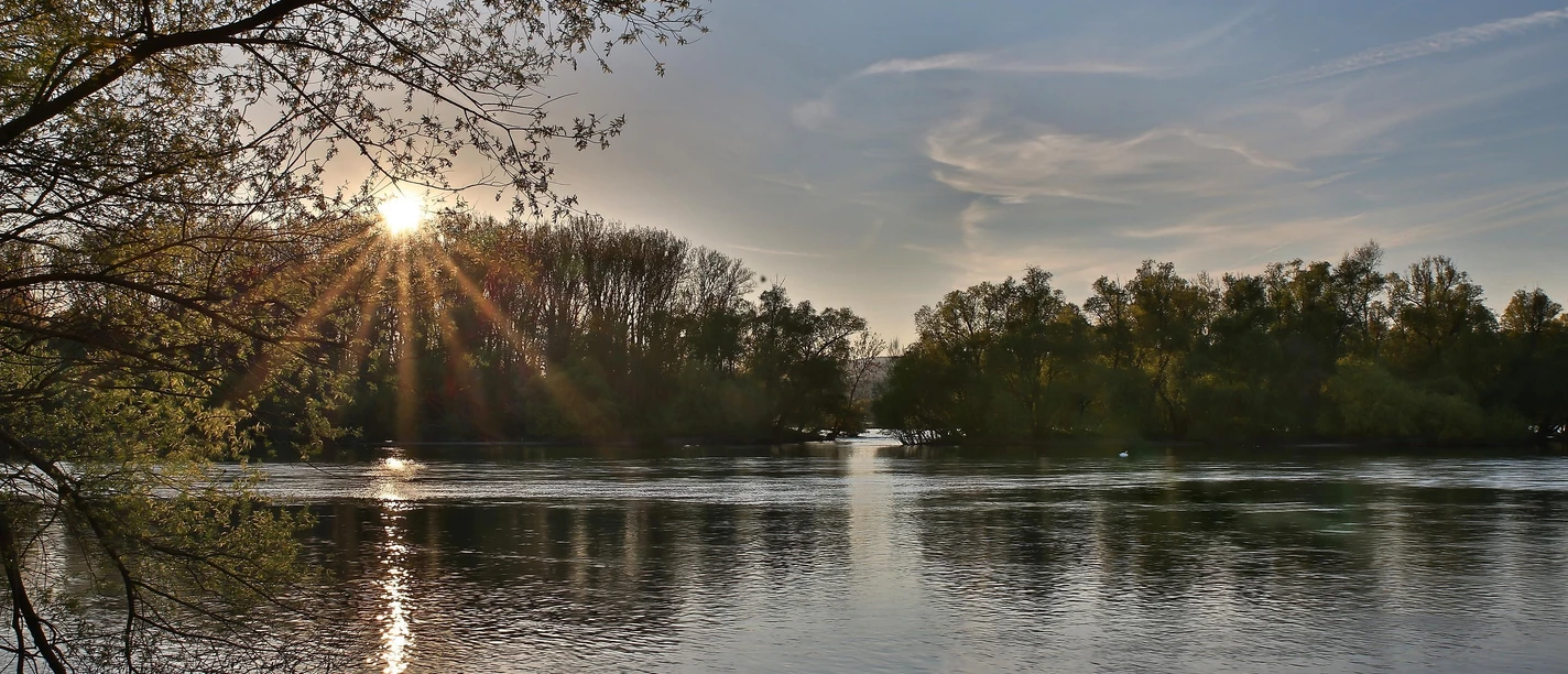 Inselrhein