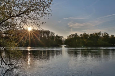 Inselrhein