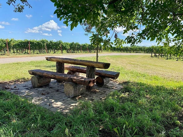 Picknickplatz "Unter den Bäumen"