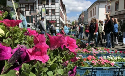 Blumen-, Kleintier- und Bauernmarkt