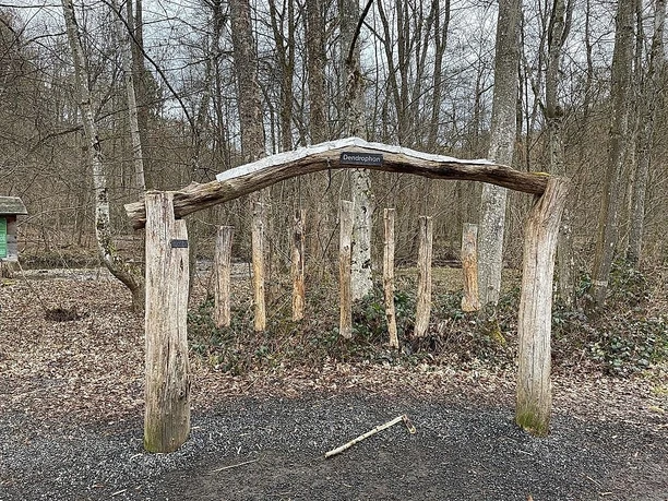 Dendrophon_Marienstatt_Nister